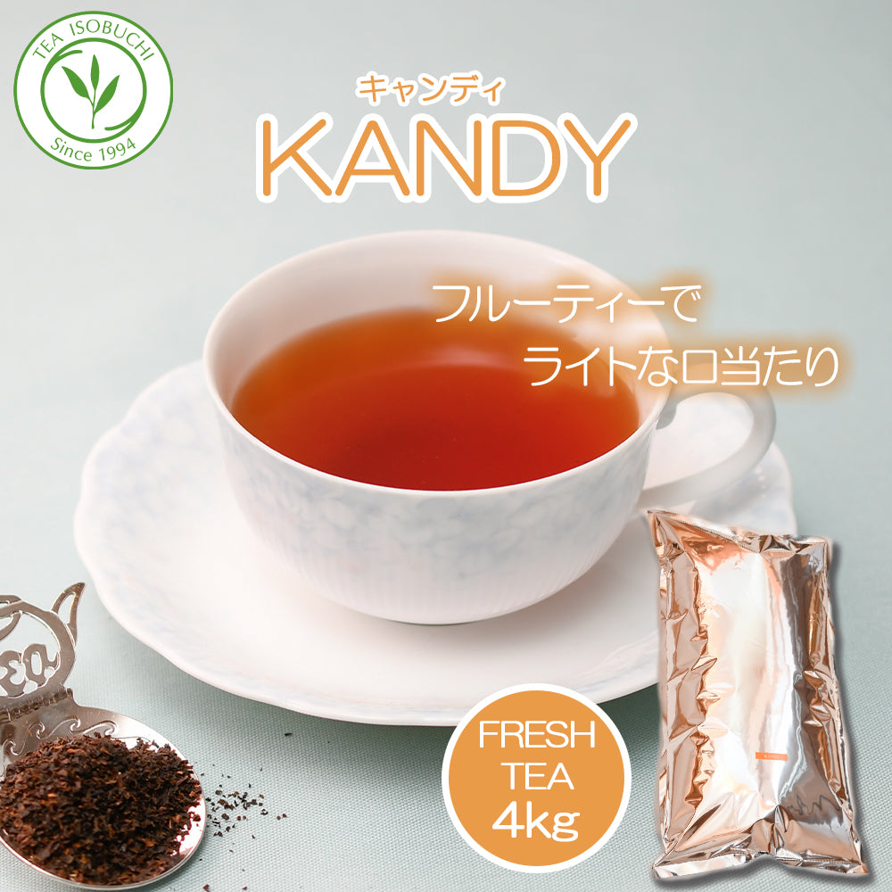 キャンディ ナヤパーナ茶園 業務用パック 2025年5月摘み