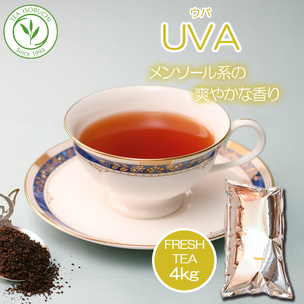 ウバ バンダラエリヤ茶園 業務用 2025年5月摘み