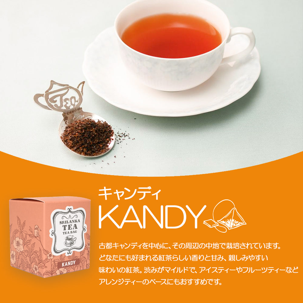 キャンディ ナヤパーナ茶園 ティーバッグ5個 箱入