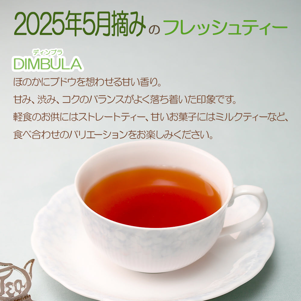 ディンブラ グレートウエスタン茶園 業務用 2025年5月摘み