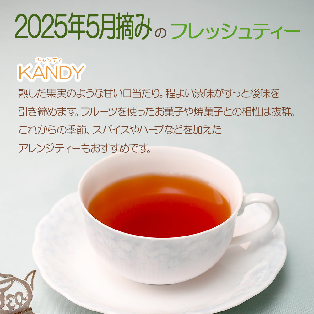 キャンディ ナヤパーナ茶園 業務用パック 2025年5月摘み