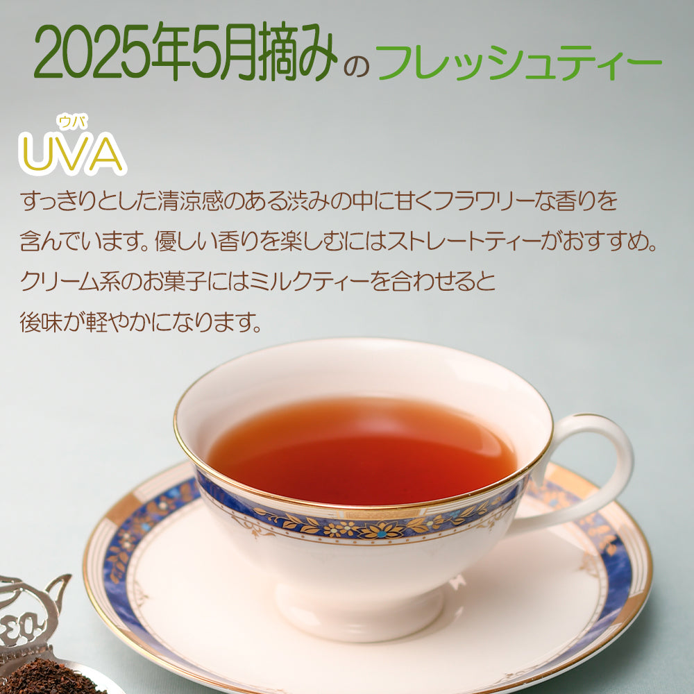 ウバ バンダラエリヤ茶園 業務用 2025年5月摘み