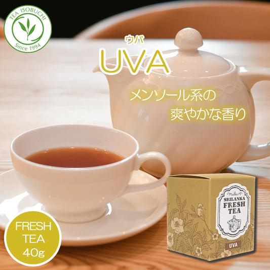 ウバ UVA  40g箱入 バンダラエリヤ茶園  2025年11月摘み