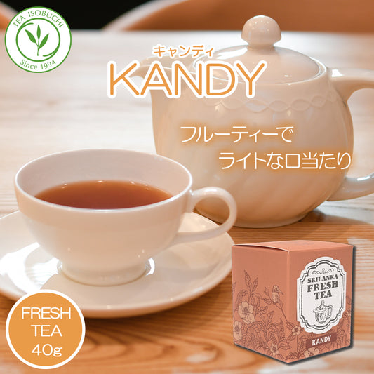 キャンディ KANDY 40g箱入 ナヤパーナ茶園   2024年11月摘み