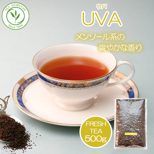 ウバ  バンダラエリヤ茶園  業務用 2024年11月摘み