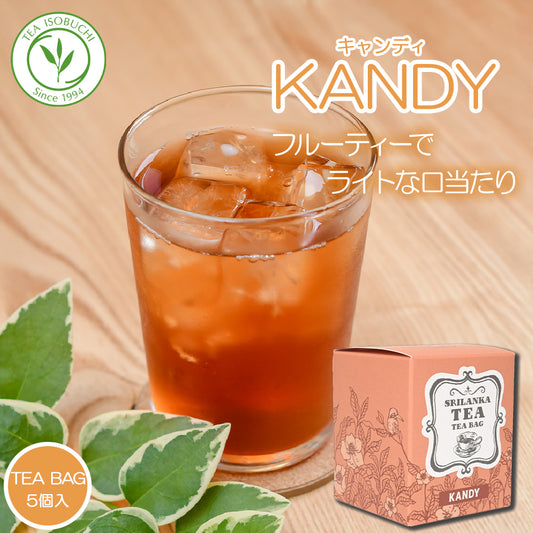 キャンディ ナヤパーナ茶園  ティーバッグ5個 箱入