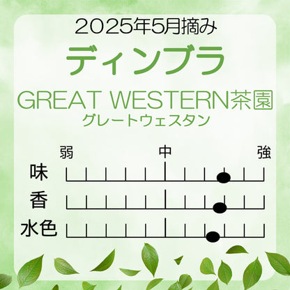 ディンブラ  グレートウエスタン茶園  業務用 2025年5月摘み