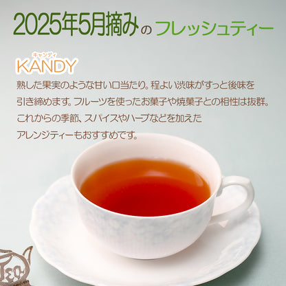 キャンディ ナヤパーナ茶園  業務用パック 2025年5月摘み