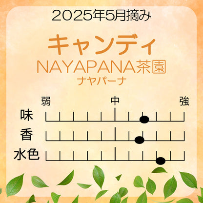 キャンディ ナヤパーナ茶園  業務用パック 2025年5月摘み