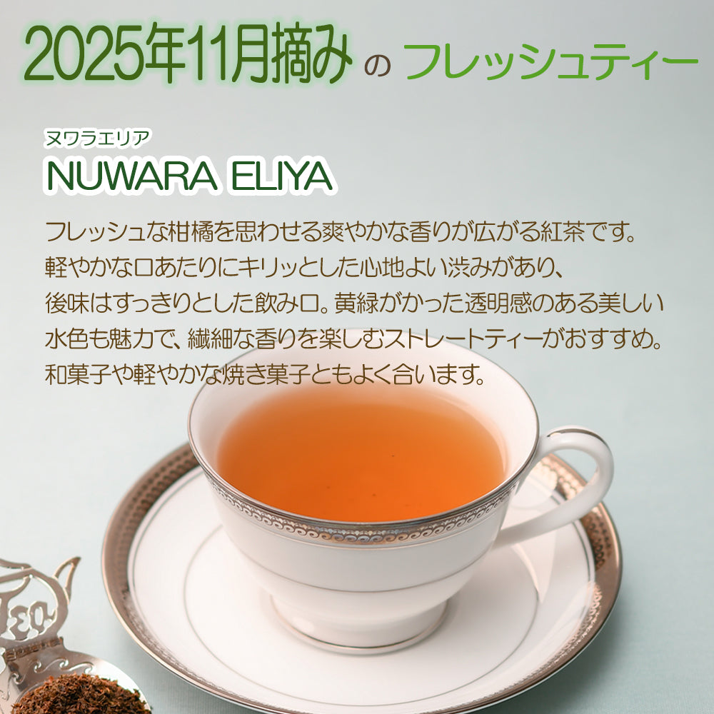 ヌワラエリア ラバーズリープ茶園  業務用パック  2025年11月摘み
