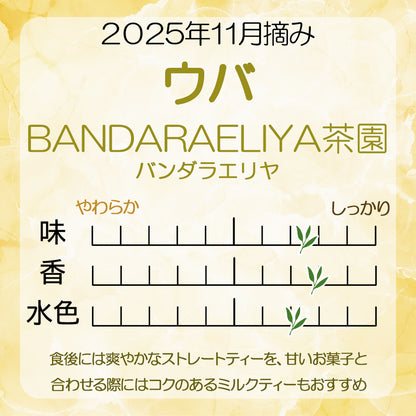 ウバ  バンダラエリヤ茶園  業務用 2025年11月摘み