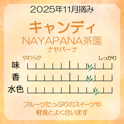 キャンディ ナヤパーナ茶園  業務用パック 2025年11月摘み