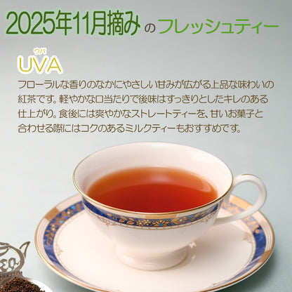 ウバ  バンダラエリヤ茶園  業務用 2025年11月摘み