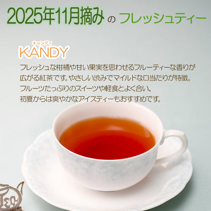 キャンディ ナヤパーナ茶園  業務用パック 2025年11月摘み
