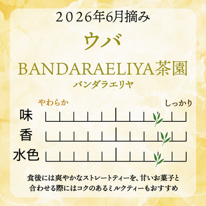ウバ  バンダラエリヤ茶園  業務用 2026年6月摘み