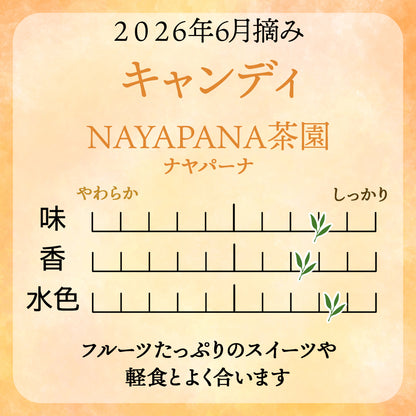 キャンディ ナヤパーナ茶園  業務用パック 2026年6月摘み