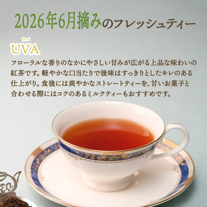 ウバ  バンダラエリヤ茶園  業務用 2026年6月摘み