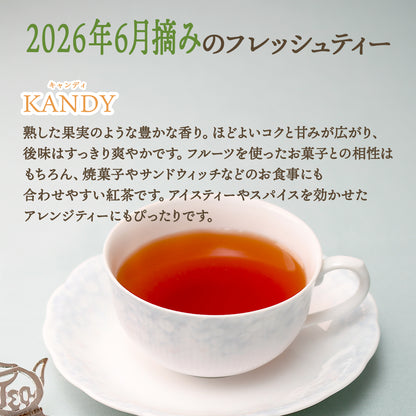 キャンディ ナヤパーナ茶園  業務用パック 2026年6月摘み